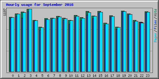Hourly usage for September 2016